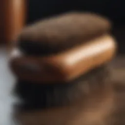 Hairbrush with Boar Bristles