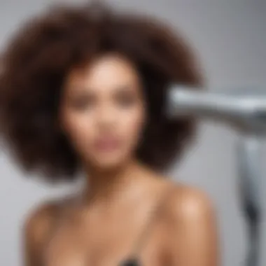 Top Models in Hair Dryers Explored Comparison of top hair dryer models for natural hair