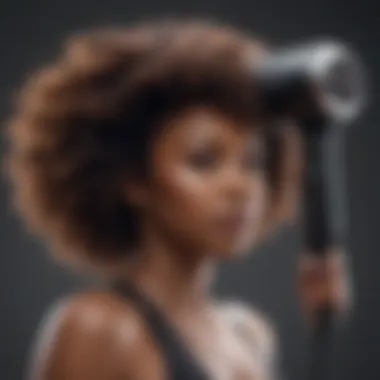 Premium Hair Dryer for Natural Hair Care High-quality hair dryer designed for natural hair
