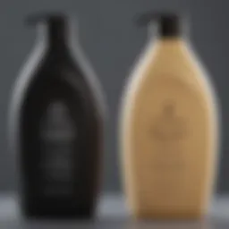 Best Shampoo and Conditioner with Natural Ingredients Introduction