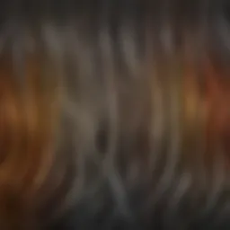 A spectrum of hair colors suitable for gray hair
