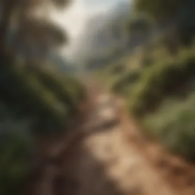 The Journey of Moving Forward Illustration of a winding path symbolizing the journey of moving forward