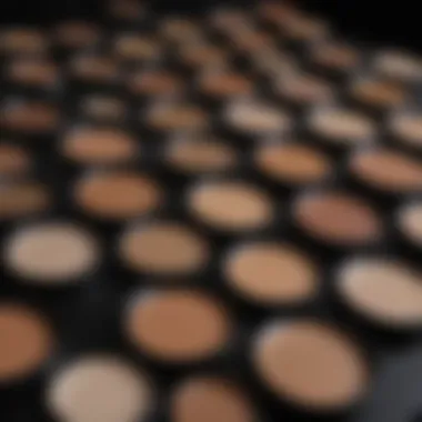 Concealer Palette Shades