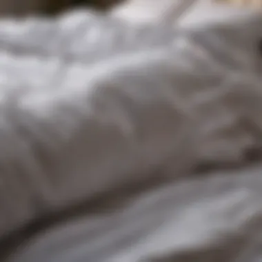 Elevate Your Bedding with Duvet and Comforter Layering Luxurious duvet and comforter combination on bed