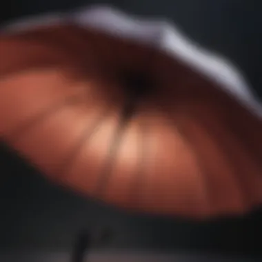 Elegance in Umbrella Design Elegance in Umbrella Design