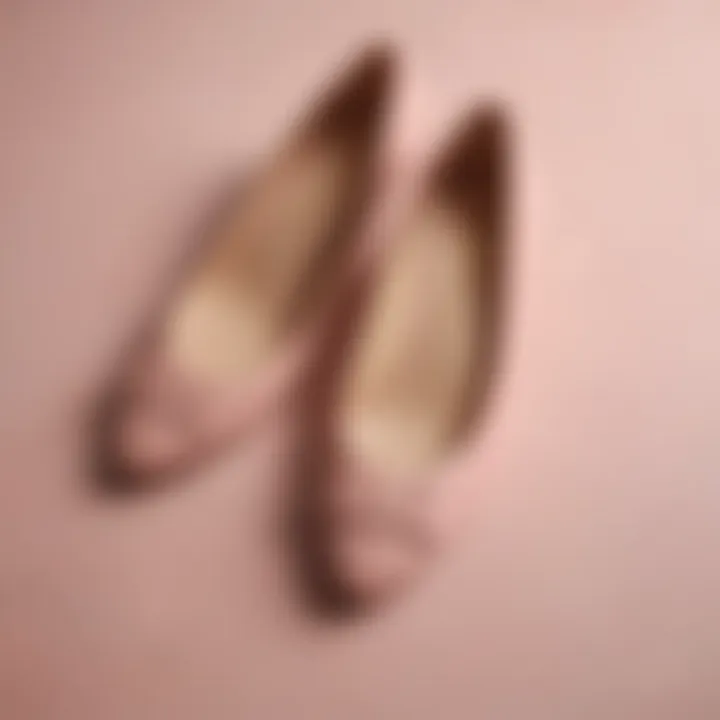 Elegant flat shoes in soft blush tones