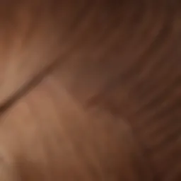 Elegant hair color shade swatch