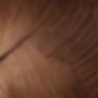 Elegance Personified Elegant hair color shade swatch