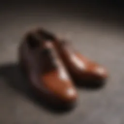 Elegant leather dress shoes