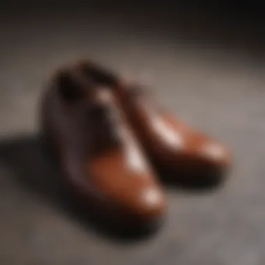 Elegant leather dress shoes