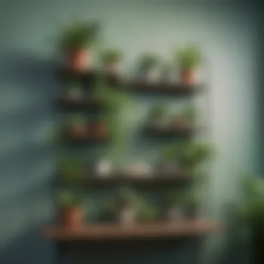 Minimalist shelving solution with decorative plants