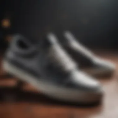 Cultural Influence of Etnies Skate Shoes Etnies Skate Shoes Cultural Impact