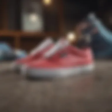 Fashion Fusion of Etnies Skate Shoes Etnies Skate Shoes Fashion Fusion
