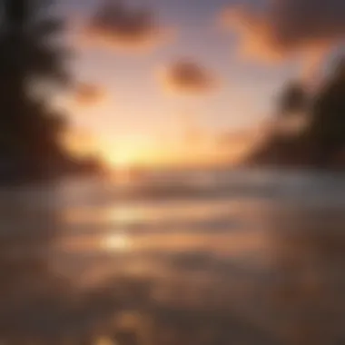 Tropical Paradise Sunset