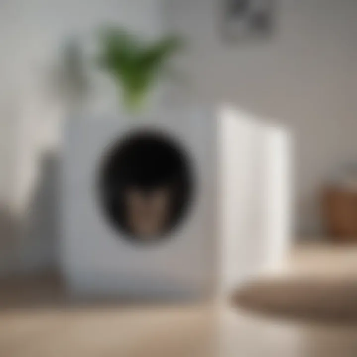 Elegant cat litter box with modern design