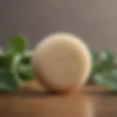 Eco-conscious Packaging of Conditioner Bar Sustainable packaging of conditioner bar