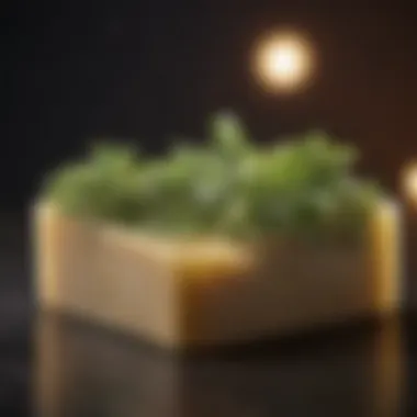 Botanical Elegance in Shampoo Bar Luxurious botanical ingredients in shampoo bar