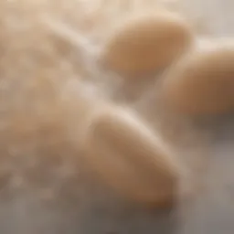 A close-up of sulfate-free shampoo showcasing natural ingredients