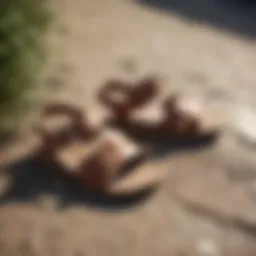 A stylish pair of summer sandals on a sunlit path