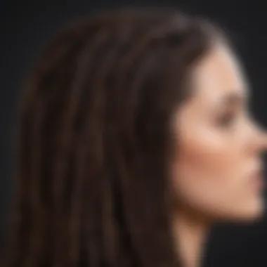 Exquisite Micro Braid Hair Artistry Exquisite Micro Braid Hair Artistry
