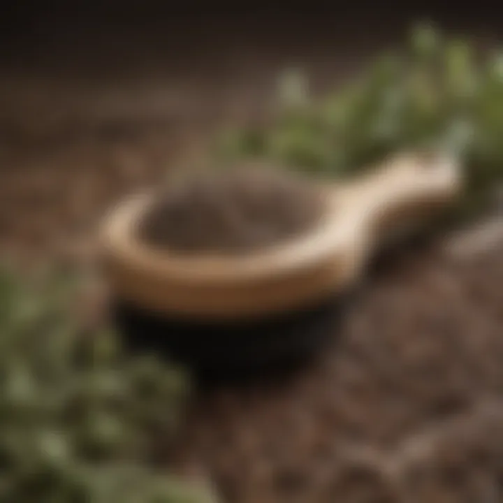 Hairbrush surrounded by castor seeds