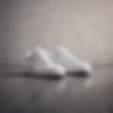 Minimalist white sneakers