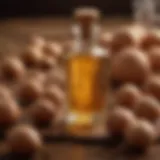 Luxurious argan oil in a glass bottle surrounded by argan nuts