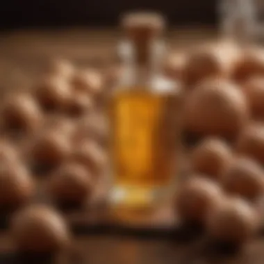 The Essence of Argan Oil Luxurious argan oil in a glass bottle surrounded by argan nuts