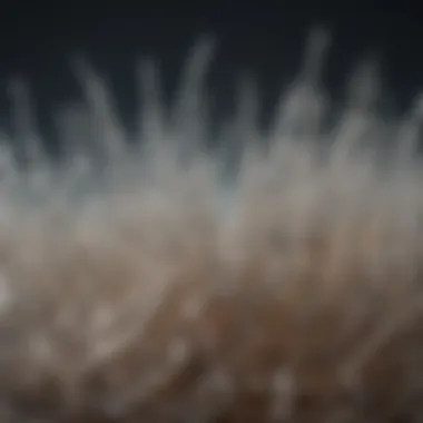 An illustration of porosity test using water and a strand of hair.