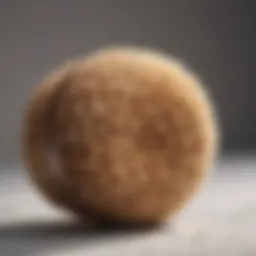 Luxurious Back Scrubber with Natural Materials