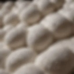 Luxurious foam material selection