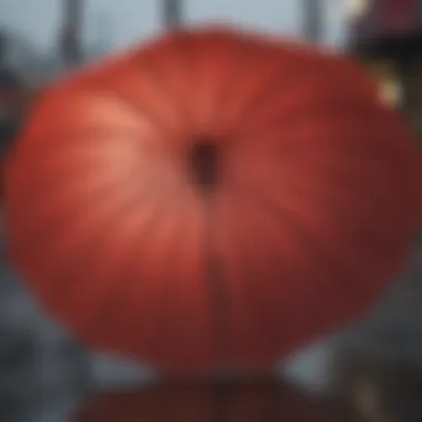 Luxurious Material Umbrella Luxurious Material Umbrella