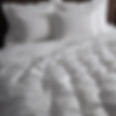 Luxurious White Comforter Set Top View