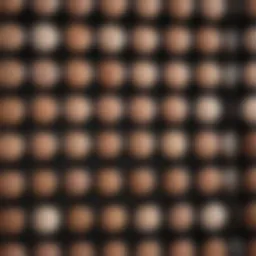 A variety of concealers tailored for dark under eye circles displayed in an elegant arrangement