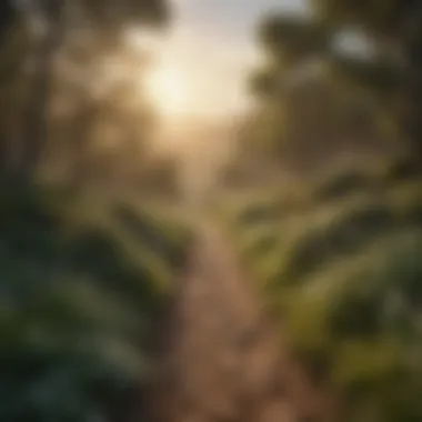 Path to Healing A serene landscape symbolizing the journey towards healing and clarity.