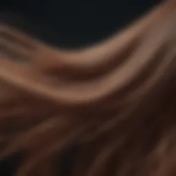Vibrant hair strands reflecting health and vitality.