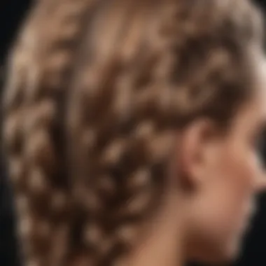 Close-up of a braided hairstyle with glistening finish