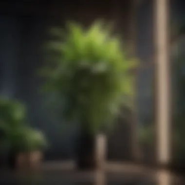 Elevated Growth Environment Illuminated tall plant in modern indoor garden