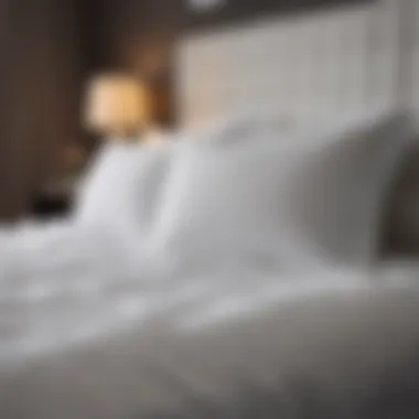 Perfect Blend of Comfort and Style in White Duvet Insert Luxurious White Extra-Large King Duvet Insert