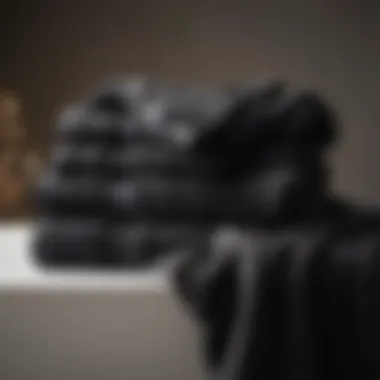 Plush Bath Sheet Collection in Rich Velvet Charcoal Plush Bath Sheet Collection in Rich Velvet Charcoal