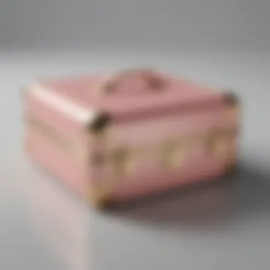 Timeless Aesthetic Appeal Sleek and Minimalist Design of Paravel Vanity Case