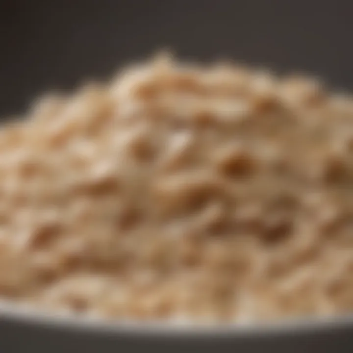 Close-up of soothing oatmeal ingredient in eczema shampoo