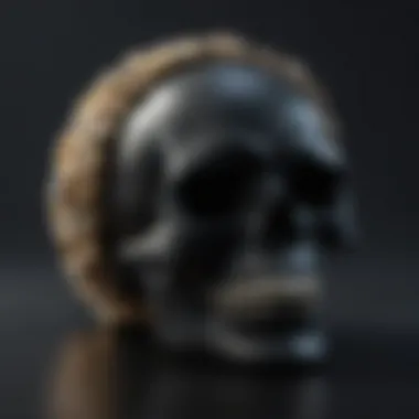 Chic Skull Bracelet Gift Idea Chic Skull Bracelet Gift Idea