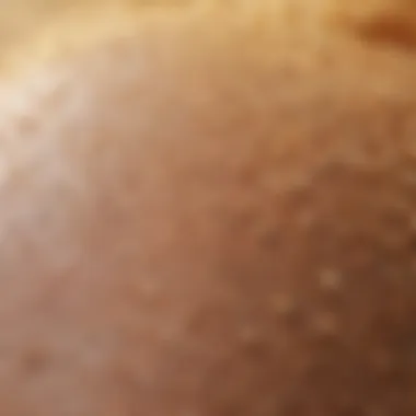 Vitamin D Interaction with Hair Follicles Illustration of hair follicles with vitamin D interaction