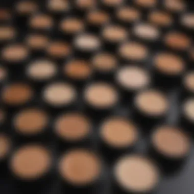 An array of cosmetic concealers displayed elegantly.