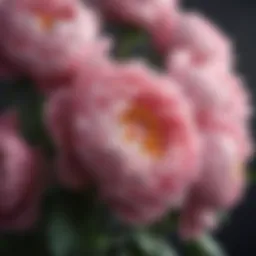 Exquisite Peony Bouquet