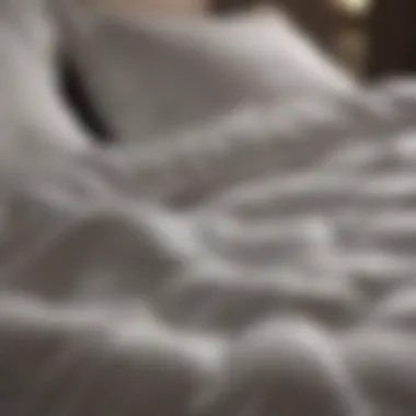 Ultimate Comfort and Luxury in Soft Duvet Insert Soft and Cozy Extra-Large King Duvet Insert