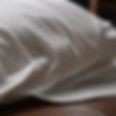 Thread Count Mastery Thread Count Comparison of High-End Cotton Sheets