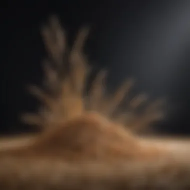 Whole Grains and Their Impact on Digestion Whole grains displayed in a way that illustrates their fiber content and digestive implications.