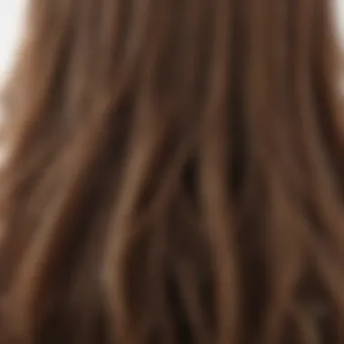 Examining Hair Textures Different textures of hair strands